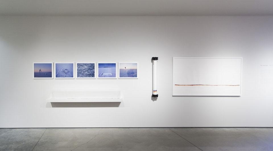 Veduta dell'installazione <i>The Gray Rush</i>di The Living (David Benjamin e Soo-in Yang). Photo courtesy Nevada Museum of Art