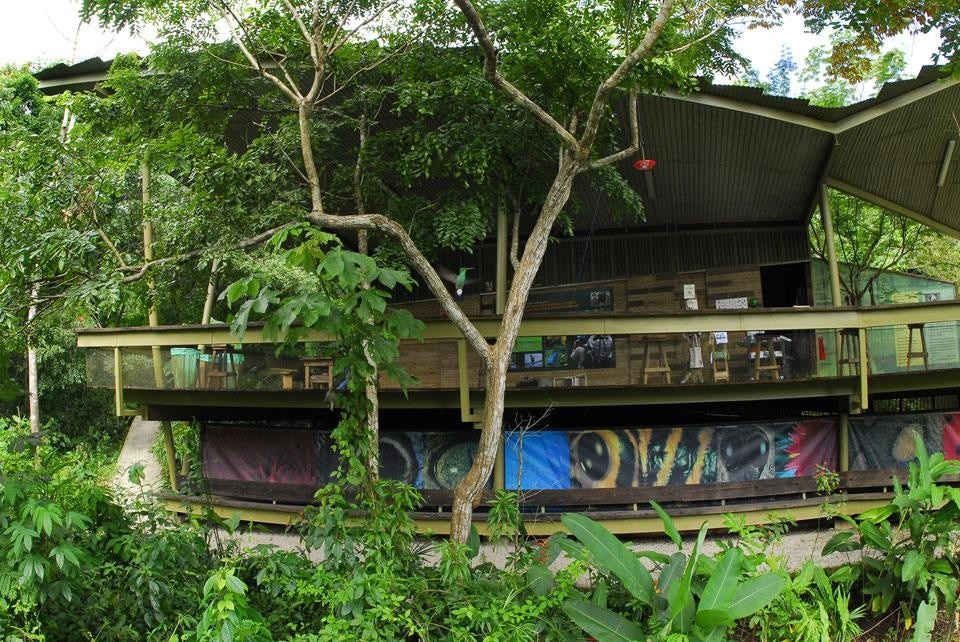 Il Panama Rainforest Discovery Center è composto di due strutture: una torre panoramica e un centro per i visitatori (sopra), una sorta di tendone con prominenti tetti inclinati che favoriscono la vista sulla foresta