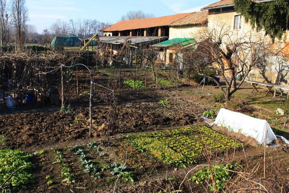 Agricoltura urbana Domus