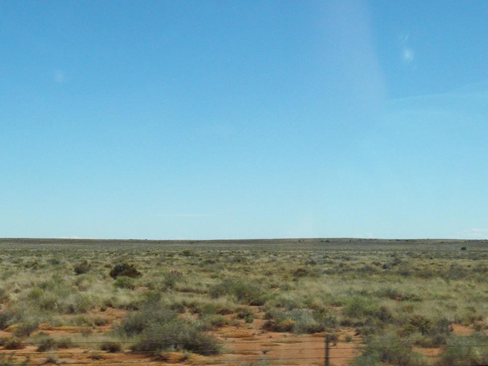 Il monotono paesaggio semi-arido del Great Karoo