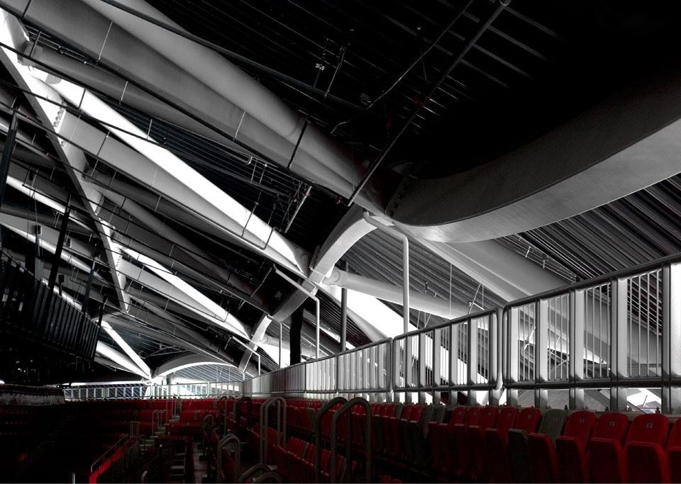 Le nervature strutturali dell'interno della conchiglia