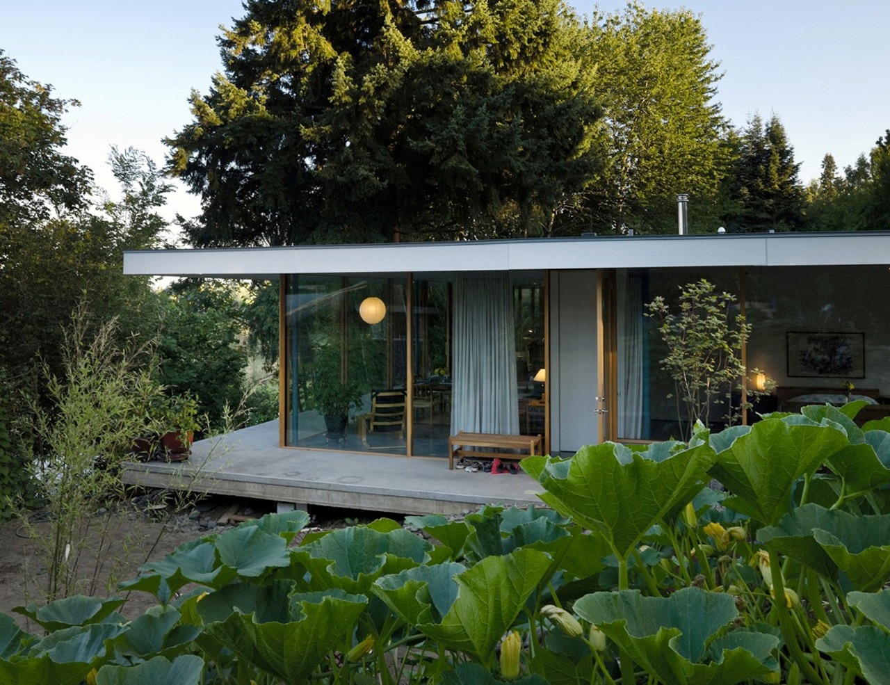 NOA, Courtyard House