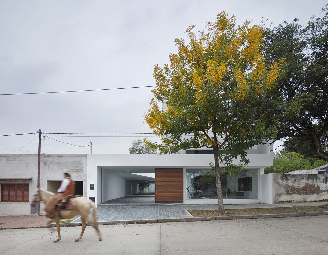 Sergio Alberto Cabrera, Caja de Seguridad Social para Abogados
