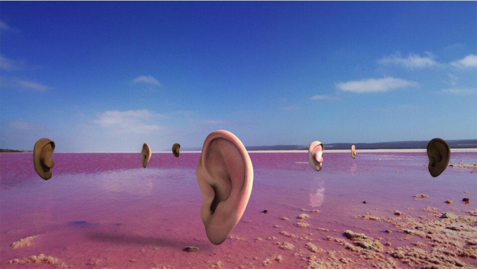 Cecile B. Evans, What the heart wants, 2016