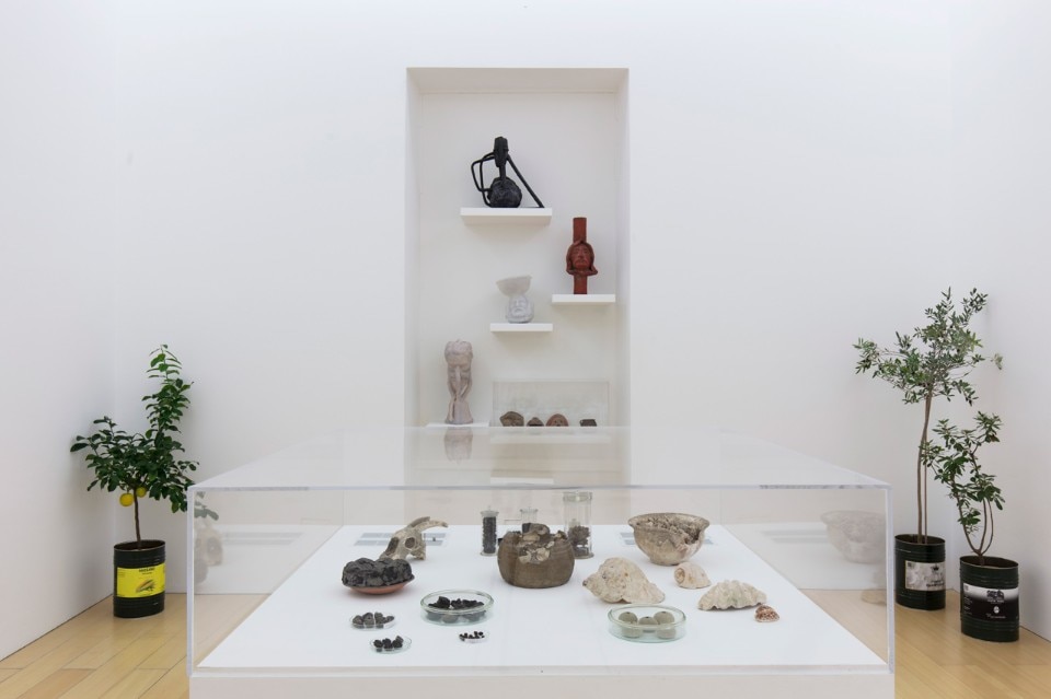 In primo piano vetrina climatizzata con tassonomia di materiali organici provenienti da Pompei, a parete l’opera di Goshka Macuga e le piante parte del progetto di Maria Thereza Alves