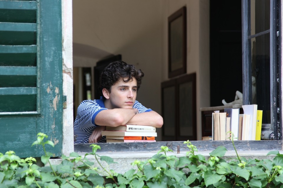 Img.2 Call my by your name, by Luca Guadagnino