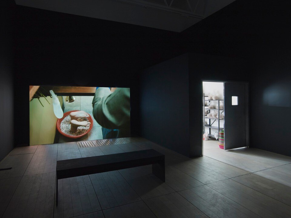 Mika Rottenberg, vista dell'installazione presso il Goldsmiths Centre for Contemporary Art, Londra, 2018.