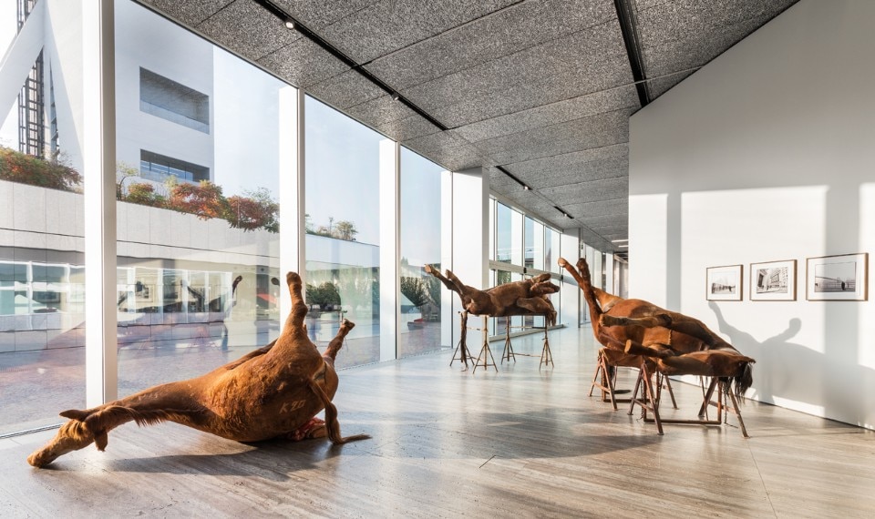 Berlinde De Bruyckere, "In Flanders Fields", installation view Fondazione Prada Milano. Photo: Delfino Sisto Legnani and Marco Cappelletti