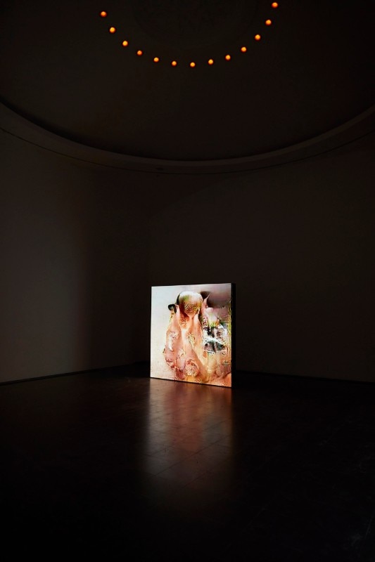 Pierre Huyghe, exhibition view, Serpentine Gallery, London