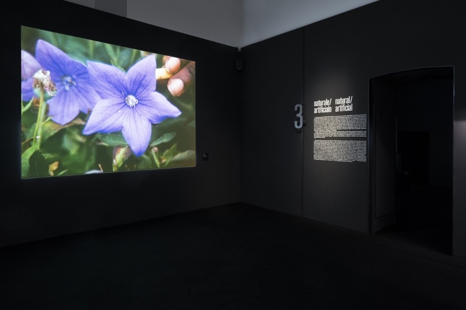 Installazione di  Luce Movimento. Il cinema sperimentale di Marinella Pirelli , al Museo del Noovecento