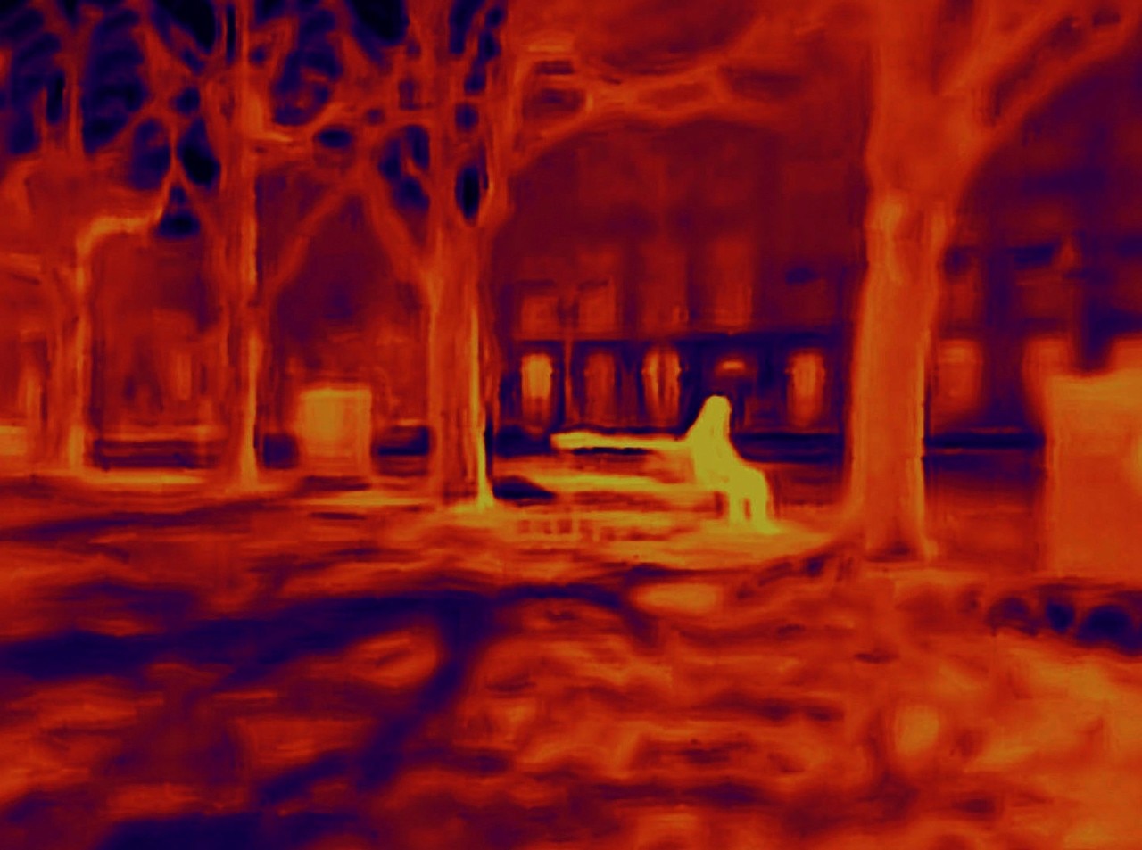 A never seen Paris through the thermal imaging camera of