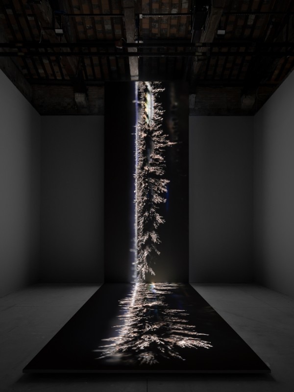 Biennale d'Arte, Padiglione Islanda, Perpetual Motion, installazione di Sigurður Guðjónsson. Foto Ugo Carmeni