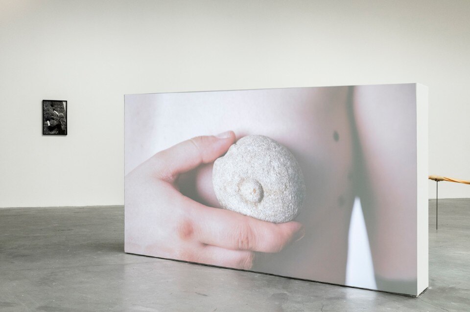 manufacturing nature - domus