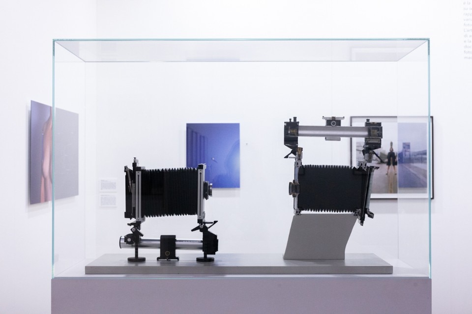 steven pippin - the phair - domus