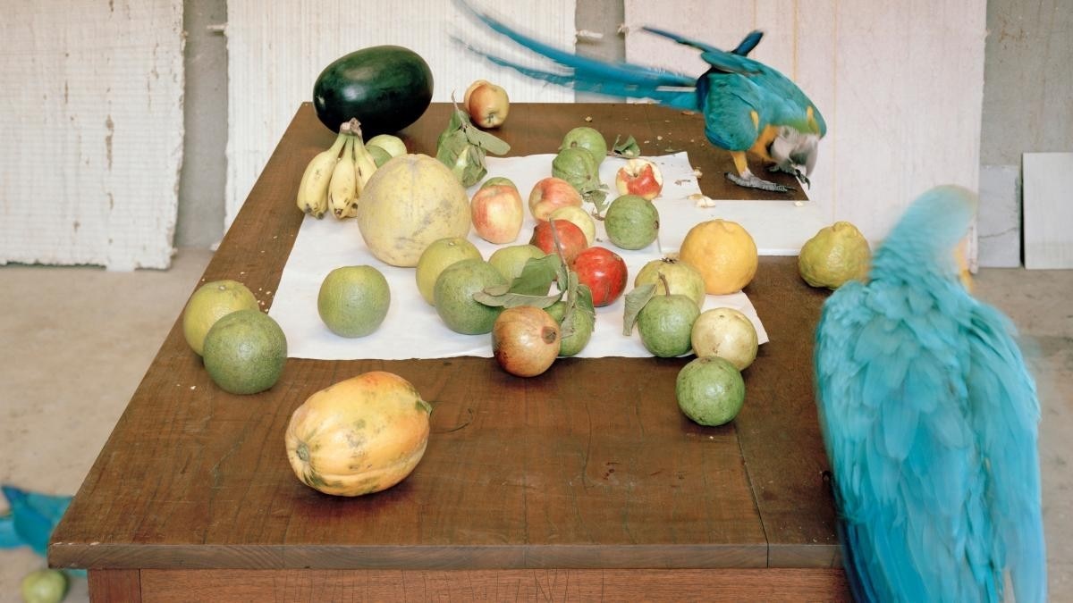 There are many photography exhibitions to see in Italy until spring