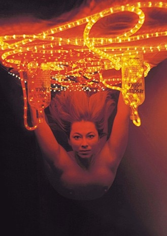 Absolut Bromova, by Veronika Bromova (Cze), 2003
