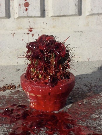 Marina Abramovic, <i>Power Object</i>, 2003
