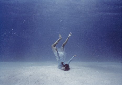 Maura Biava, <i>Doride Falling Metamorphosis</i>, 2002