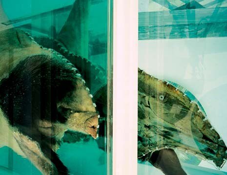 Particolare del maiale sezionato