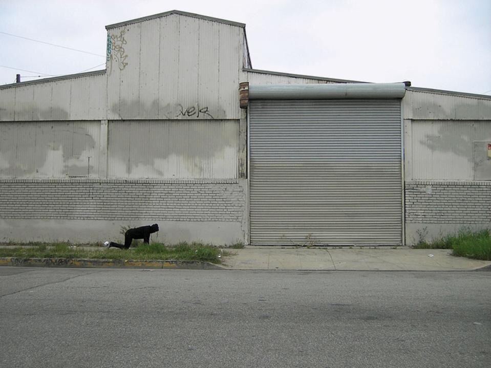 Dafne Boggeri, Black sheep