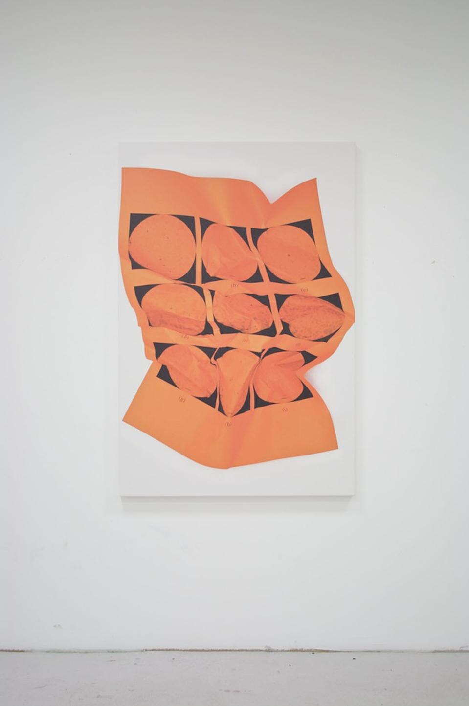 Riccardo Previdi, <i>Test (Orange Bacterio)</i>, 2010.
stampa-UV su tela, 150 x 100 cm, pezzo unico (per gentile concessione di Sommer & Kohl, Berlin and Galleria Francesca Minini, Milano).
