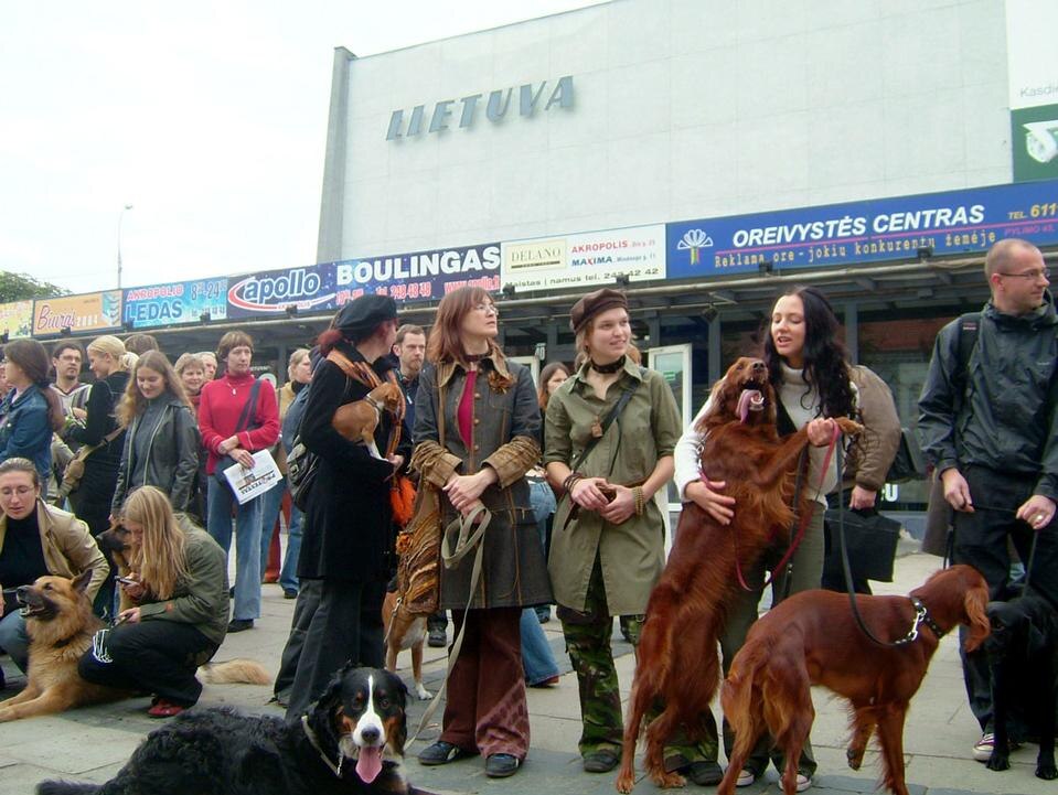 Dogs barking will not disturb the clouds, evento per cani di razze diverse, piazza di fronte al cinema Lietuva, Vilnius 2005
