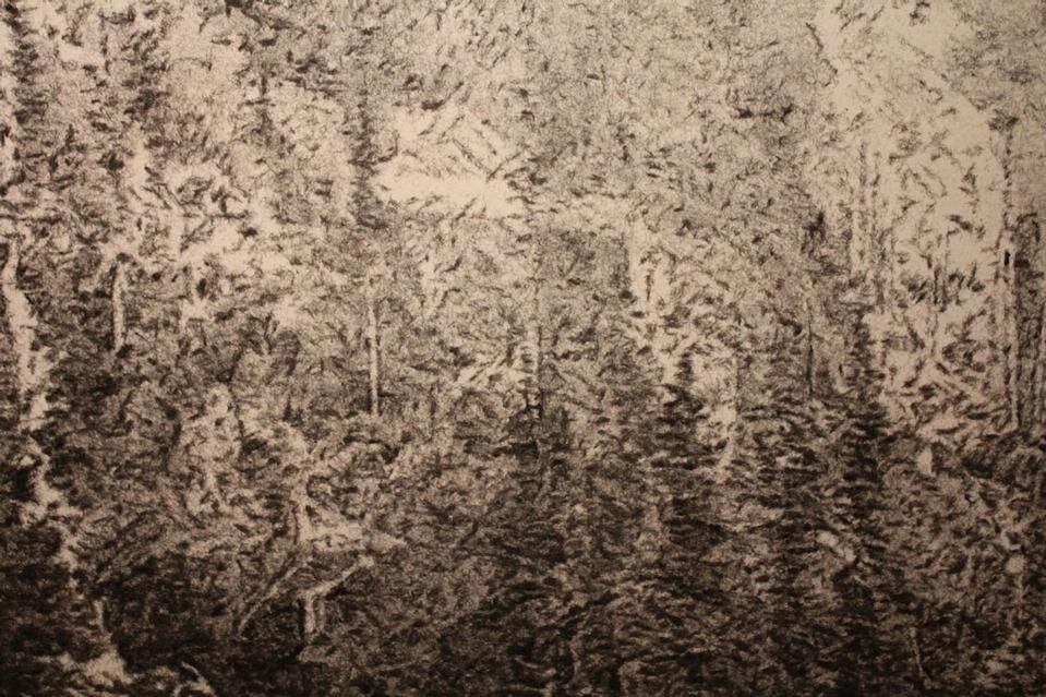 <i>Untitled</i>, 1997. C-print,  50 x 70 cm.  Serie limitata di 5 + 2AP.
