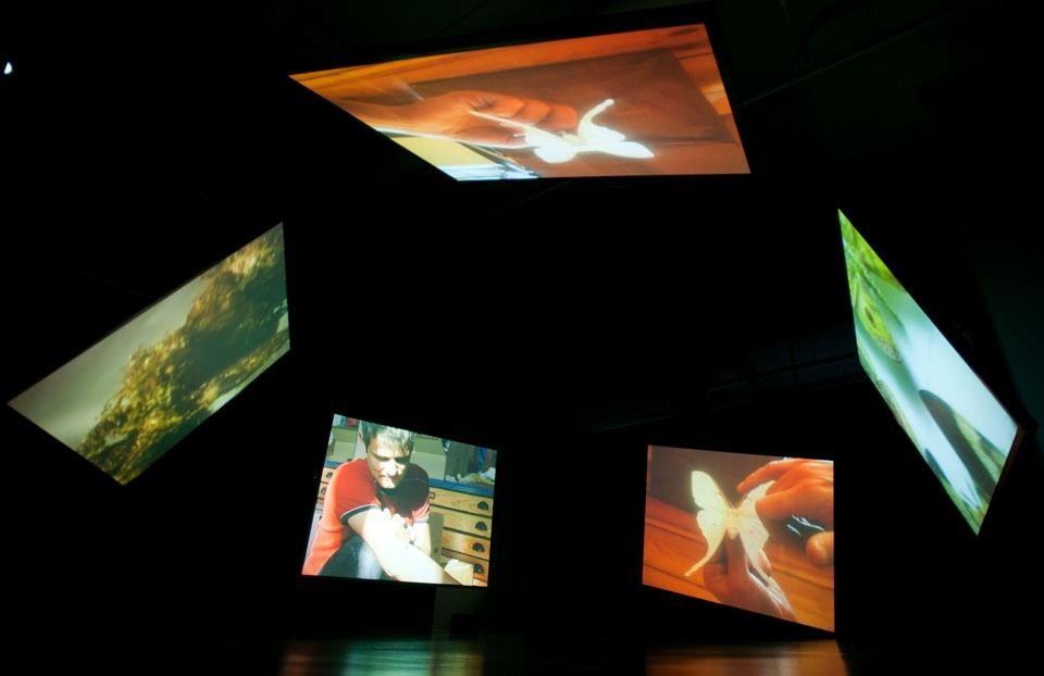 Stefan’s Room (2004) è la storia di un collezionista di farfalle che dedica la sua vita alla loro trasformazione dalla stato di bruchi in quello di farfalle. Courtesy of Kutlug Ataman e Thomas Dane Gallery, London. Prodotto da The Institute for the Readjustment of Clocks, Istanbul. Vista dell'installazione alla galleria Istanbul Modern, 2010