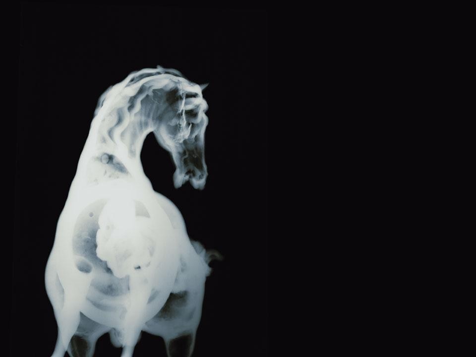 History’s Shadow GM3, 2010. Courtesy l'artista e Haines Gallery 