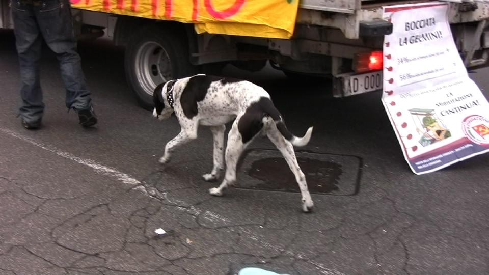 Il video di Hannes Zebedin <i>Untitled</i> (2009) affronta il tema della marcia dimostrativa. 