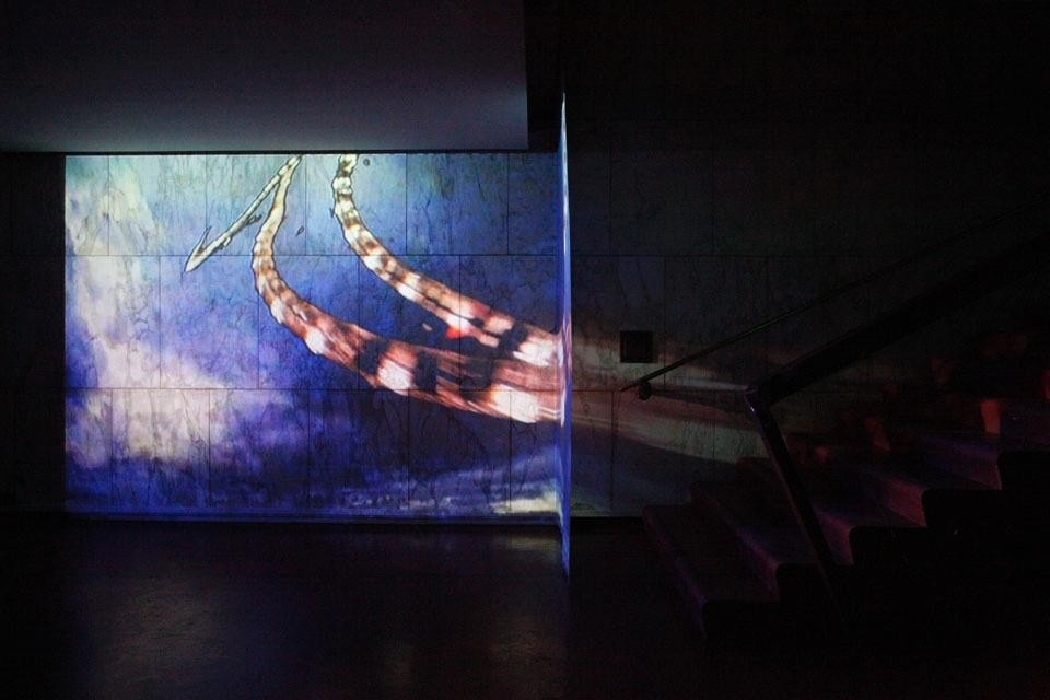 <i>Lobe of the Lung</i>, audio video installazione, 2009