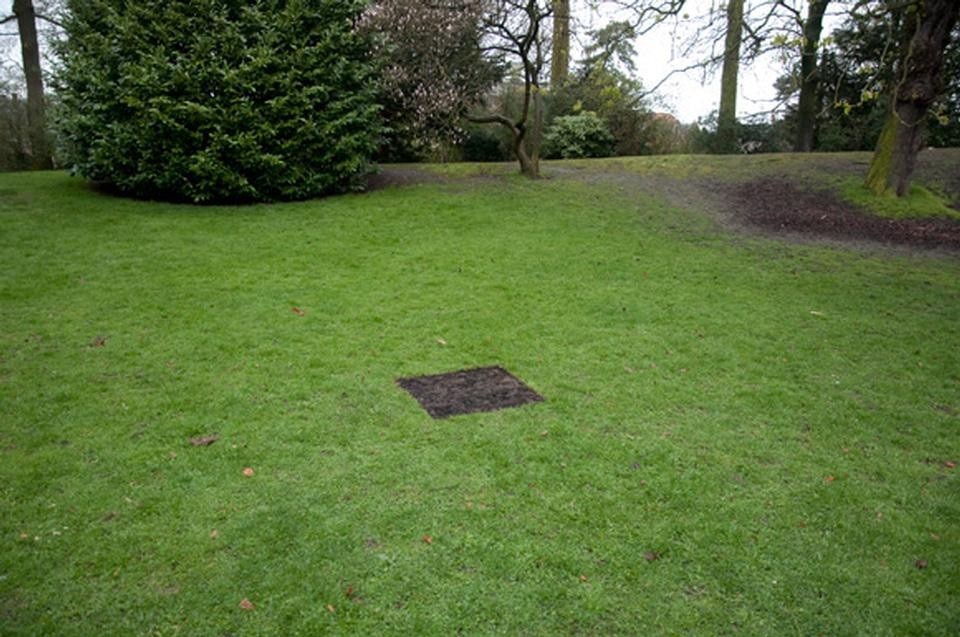 Helmut Smits, <i>Dead Pixel in Google Earth</i>, 2008-2010. 82 x 82 cm 