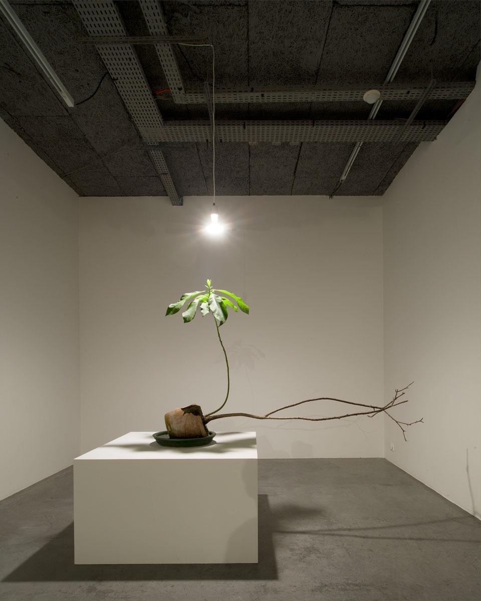 Michel Blazy, <i>Avocat</i>. Photo Martin Argyroglo