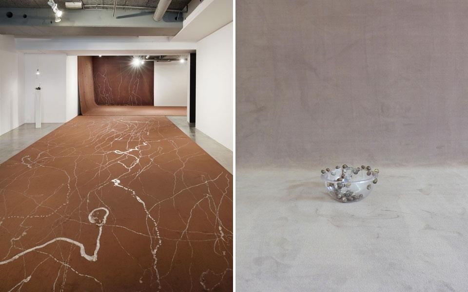 A destra: Michel Blazy, <i>Le Lâcher d’escargots</i>, 2009. lumache, moquette e insalatiera. Courtesy Art: Concept (Paris). © Michel Blazy. Photo Fabrice Gousset