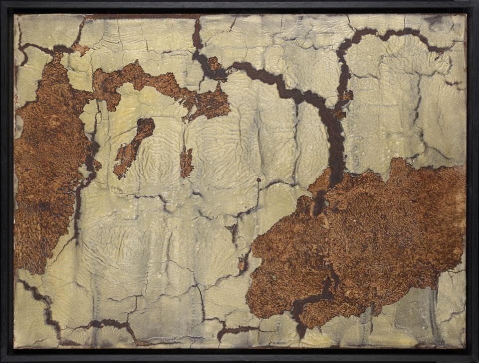 Michel Blazy, <i>Sans titre</i>, 2011, uova, budino al cioccolato, farina, latte condensato zuccherato su legno morsicato da topi. Photo Fabrice Gousset