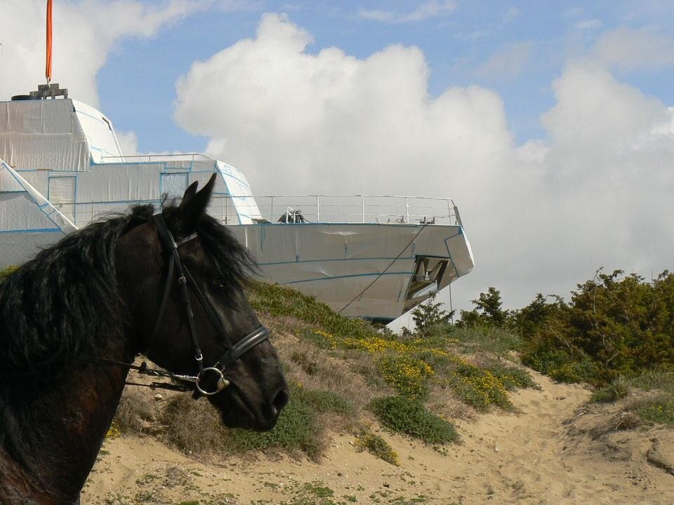 <i>Guilty</i> di Jeff Koons e Ivana Porfiri