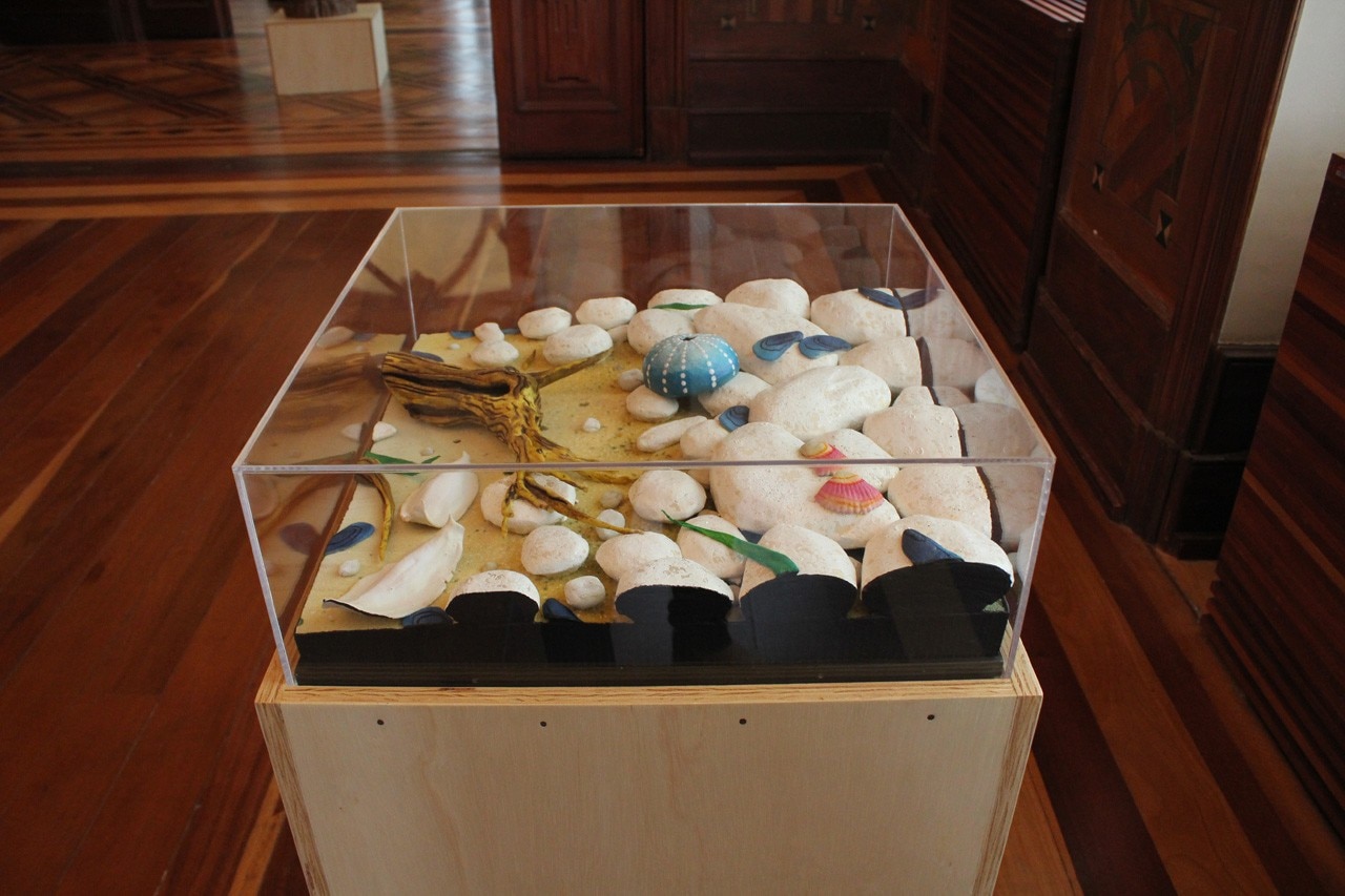 Bienal da Bahia 2014, Piero Gilardi, Tronchetto