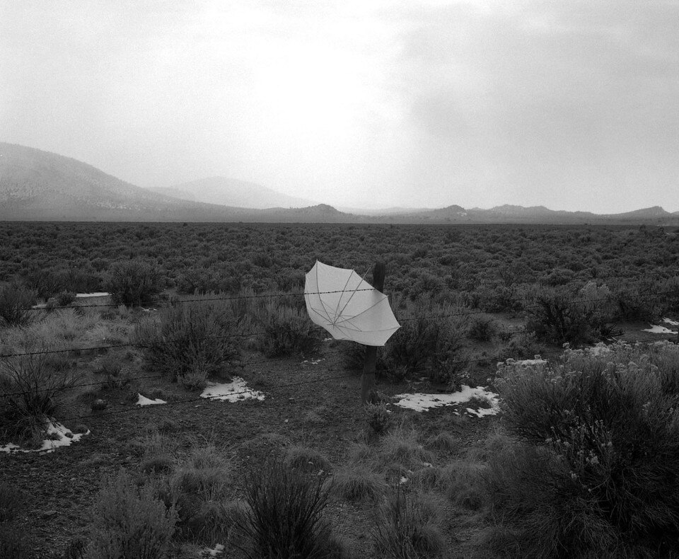 Fotografia Europea, Antonio Rovaldi