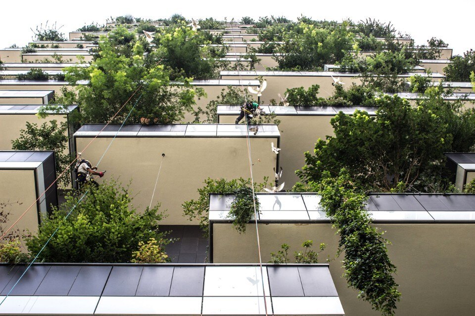 Vertical Forest - Domus
