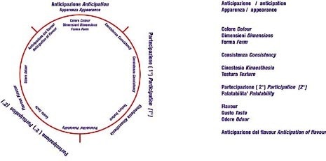 Diagramma per la rappresentazione delle caratteristiche sensoriali e del loro ordine di percezione 