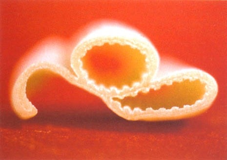 Pasta “Marille” per la Voiello, 1983