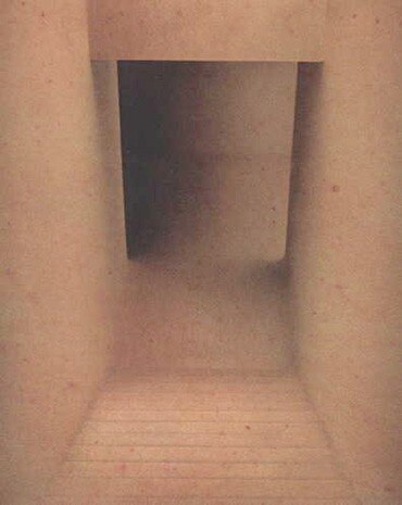 Aziz & Cucher, Interior Series #2, 1998–99. Collezione SFMOMA
