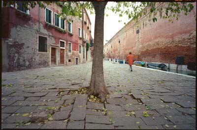Alessandra Chemollo, Fulvio Orsenigo,
Campo delle Gorne, dicembre 2000