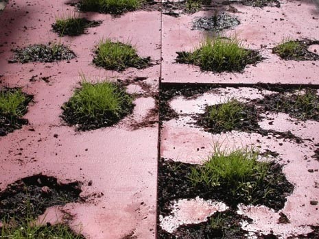 Foto Jose Pedro Tomaz 