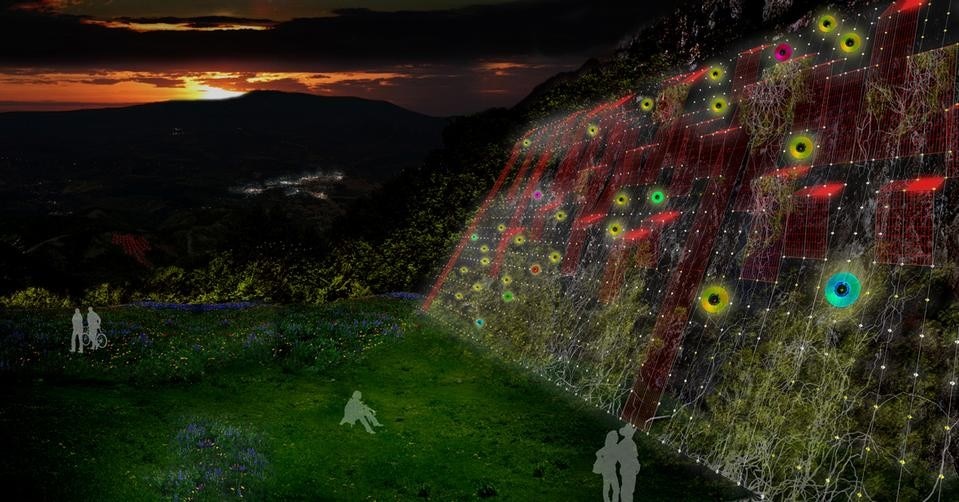 Sistema di mitigazione dell’impatto del fronte cava. Cavi in acciaio sospesi, cassette per vegetazione, pannelli e illuminazione led. Parchi urbani e luoghi per il tempo libero a disposizione dei cittadini realizzati nei grandi piazzali delle cave abbandonate e fruibili sia di giorno sia di notte


