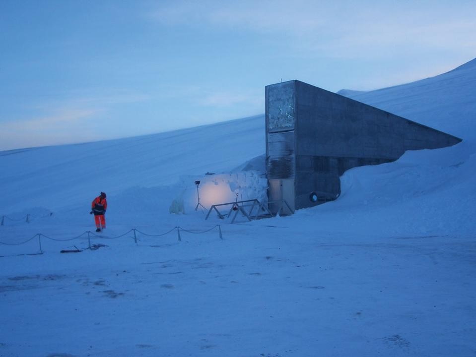 Alle Isole Svalbard in Norvegia