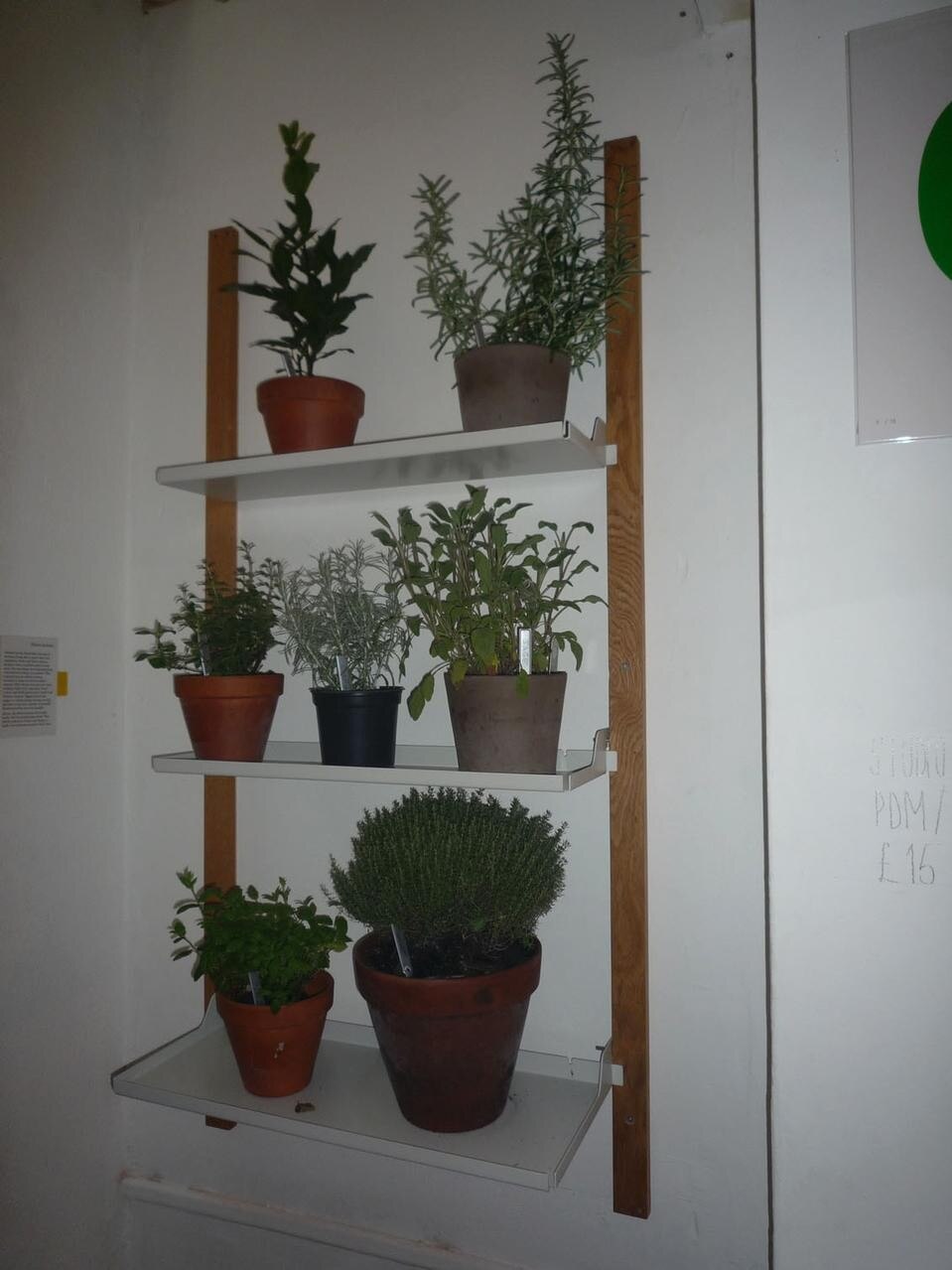 Foodmarket, Shelve di Jochem Faudet