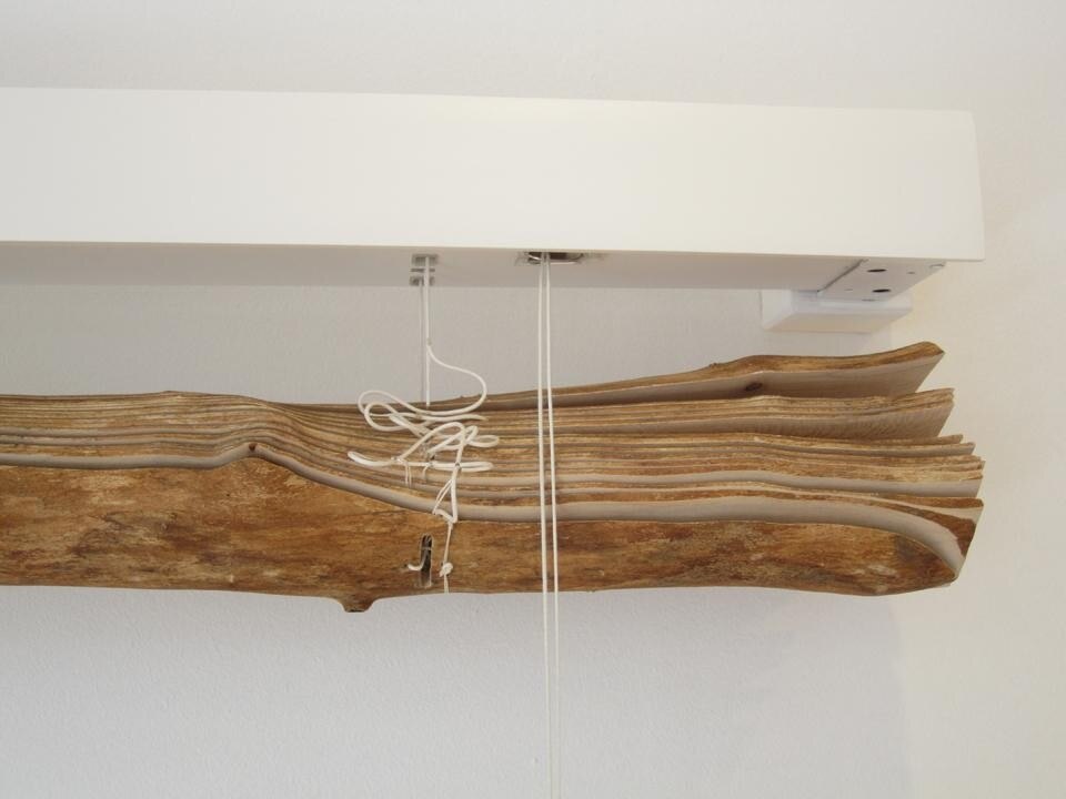 Foto di apertura: Liam Young, del laboratorio di idee futuribili Tomorrow's Thoughts Today, ha presentato la nuova, ingegneristica natura del prossimo futuro, popolata di creature virtuali, progettate al computer. Qui sopra: tende alla veneziana di Alon Meron ottenuta affettando una trave.