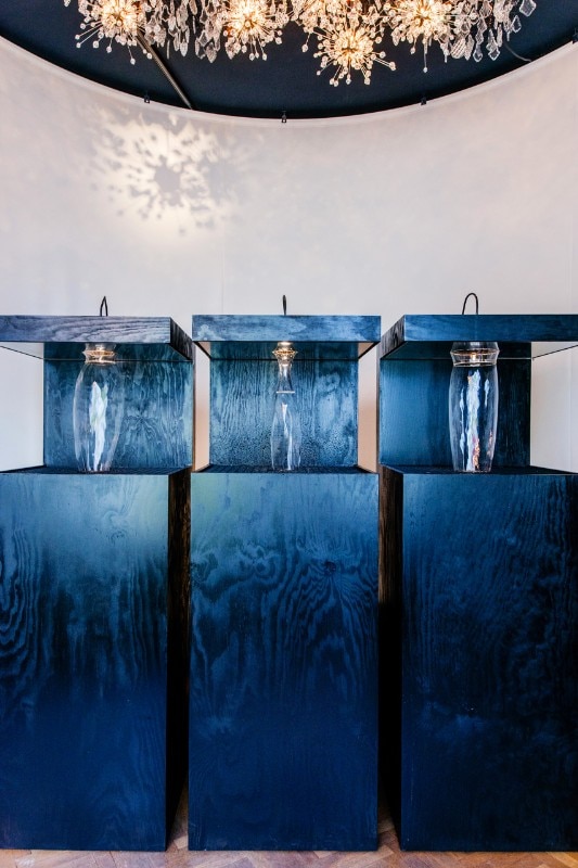 Vista dell'installazione “Water Vases” di Jólan van der Wiel per Lobmeyr. Courtesy Vienna Design Week, Kramar, Kollektiv Fischka