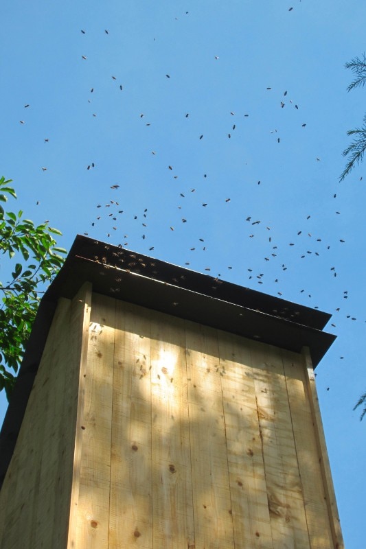 Img.14 Francesco Faccin, Honey Factory, Triennale di Milano. Photo Delfino Sisto Legnani